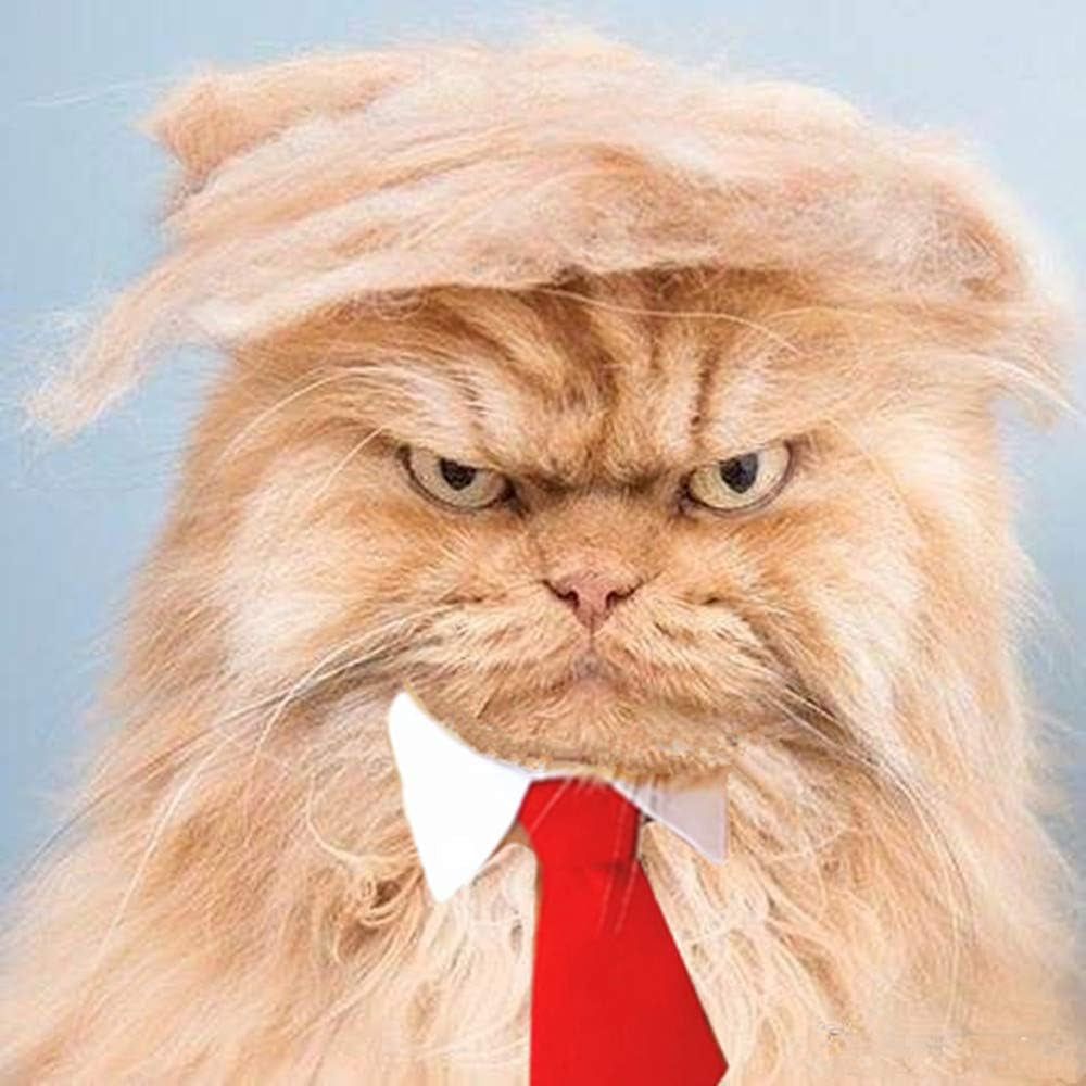 Trump Style Pet Costume Dog Wig, Dog Clothes with Collar & Tie Head Wear Apparel Toy for Halloween, Christmas, Parties, Festivals (Brown with Tie)