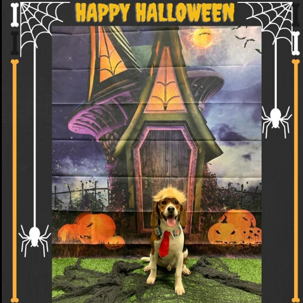 Trump Style Pet Costume Dog Wig, Dog Clothes with Collar & Tie Head Wear Apparel Toy for Halloween, Christmas, Parties, Festivals (Brown with Tie)