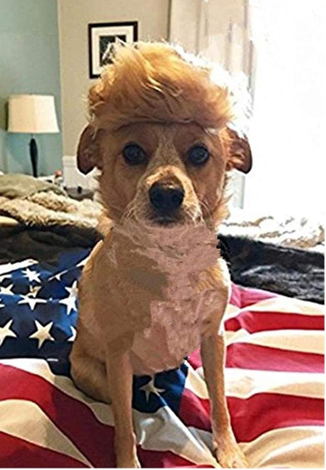 Trump Style Pet Costume Dog Wig, Dog Clothes with Collar & Tie Head Wear Apparel Toy for Halloween, Christmas, Parties, Festivals (Brown with Tie)