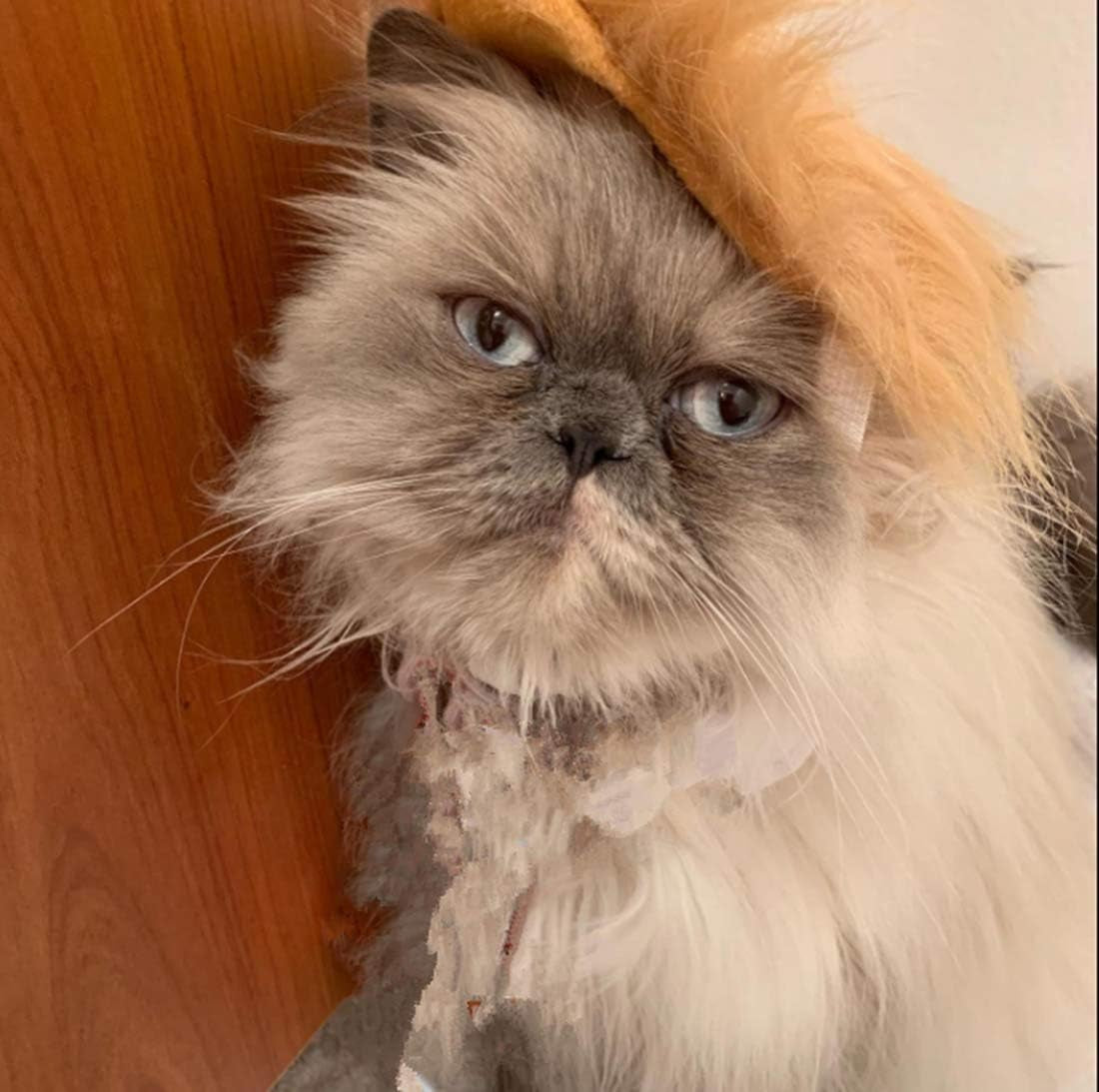 Trump Style Pet Costume Dog Wig, Dog Clothes with Collar & Tie Head Wear Apparel Toy for Halloween, Christmas, Parties, Festivals (Brown with Tie)