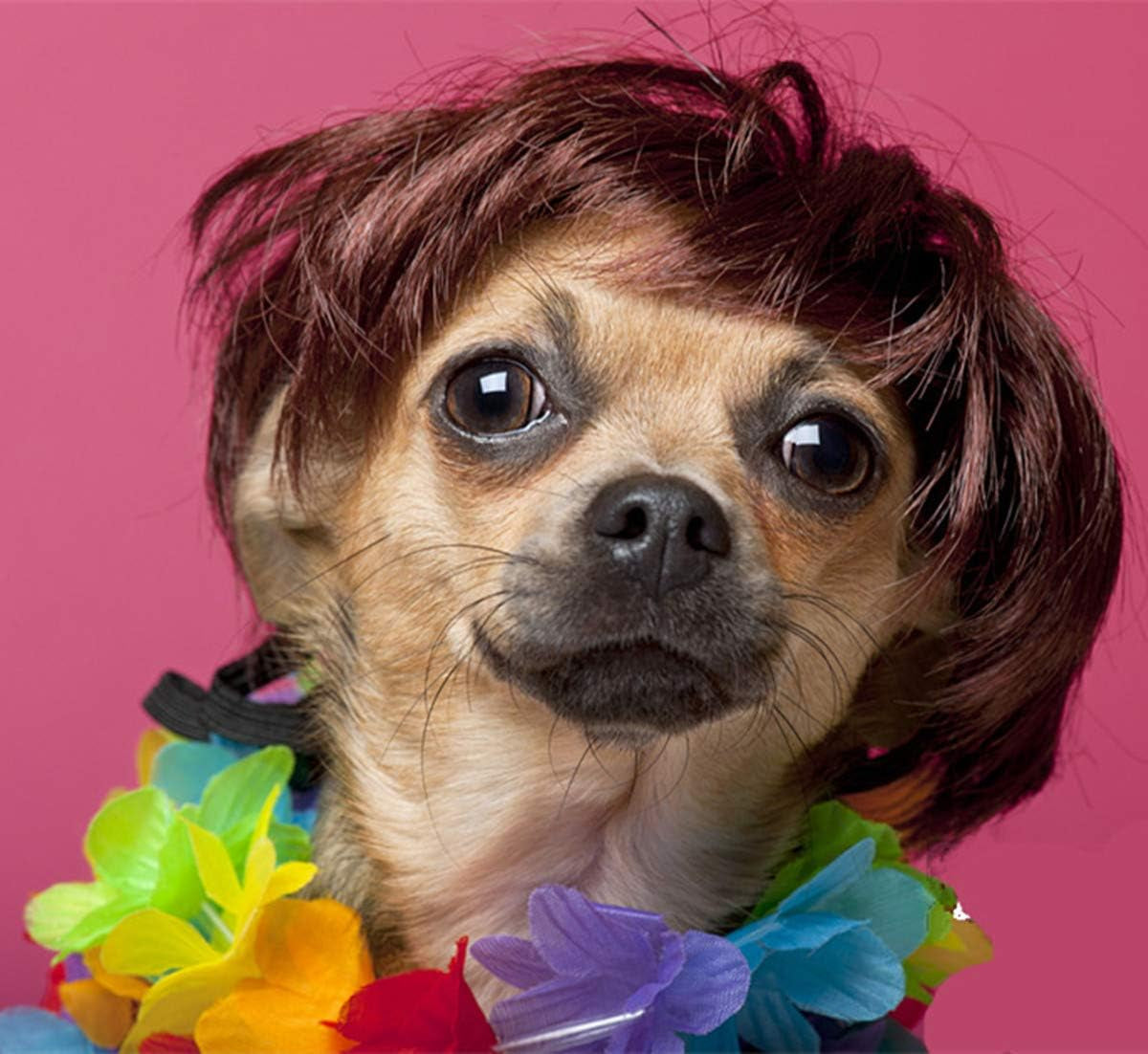 Trump Style Pet Costume Dog Wig, Dog Clothes with Collar & Tie Head Wear Apparel Toy for Halloween, Christmas, Parties, Festivals (Brown with Tie)