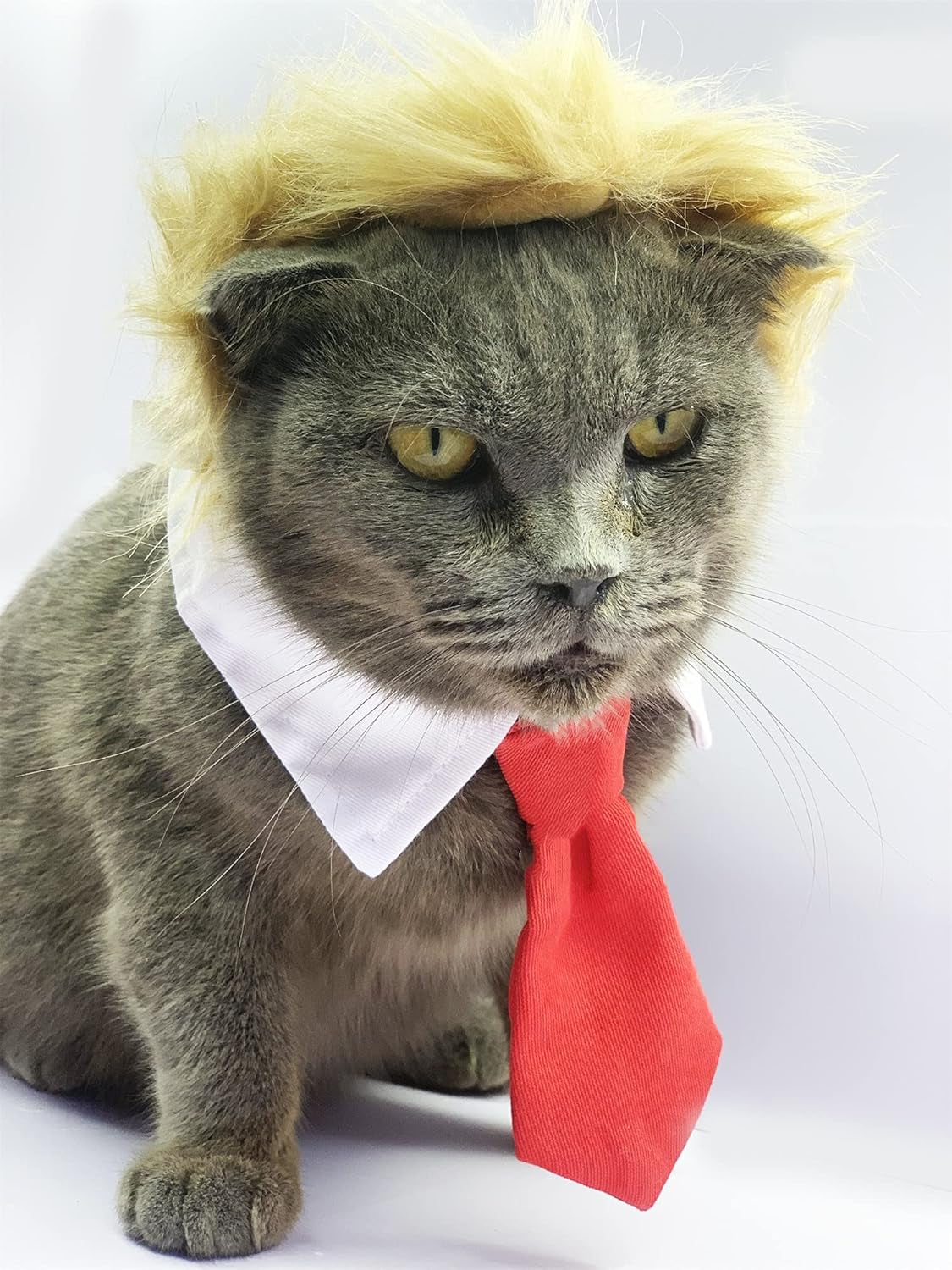 Trump Style Pet Costume Dog Wig, Dog Clothes with Collar & Tie Head Wear Apparel Toy for Halloween, Christmas, Parties, Festivals (Brown with Tie)