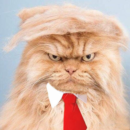 Trump Style Pet Costume Dog Wig, Dog Clothes with Collar & Tie Head Wear Apparel Toy for Halloween, Christmas, Parties, Festivals (Brown with Tie)
