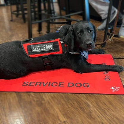 Wagaround Dog Travel Mat- Service Dog Travel Mat "DO NOT INTERACT"