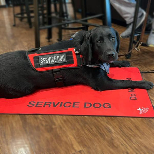 Wagaround Dog Travel Mat- Service Dog Travel Mat "DO NOT INTERACT"