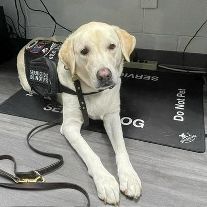 Wagaround Dog Travel Mat- Service Dog Travel Mat "DO NOT INTERACT"
