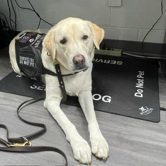Wagaround Dog Travel Mat- Service Dog Travel Mat "DO NOT INTERACT"