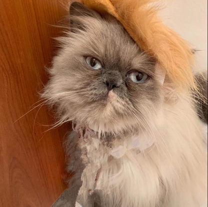 Trump Style Pet Costume Dog Wig, Dog Clothes with Collar & Tie Head Wear Apparel Toy for Halloween, Christmas, Parties, Festivals (Brown with Tie)