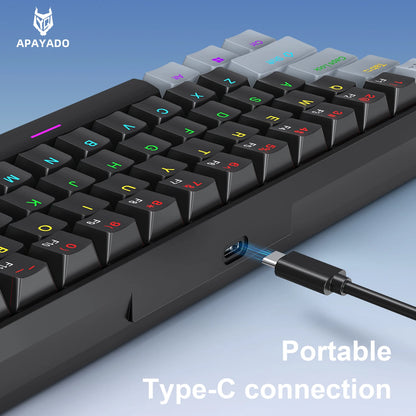 APAYADO K61 60% Mini Gaming Keyboard RGB Wired 61-Key