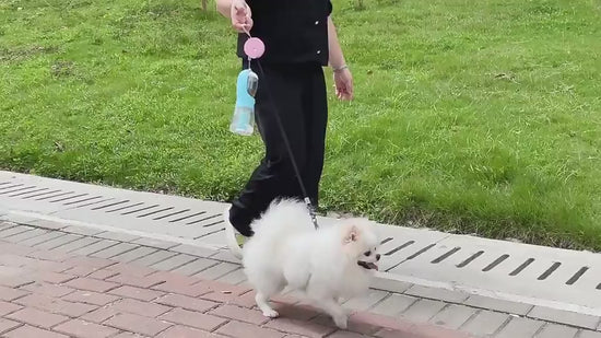 dog-travel-water-bottle-outdoor-hiking