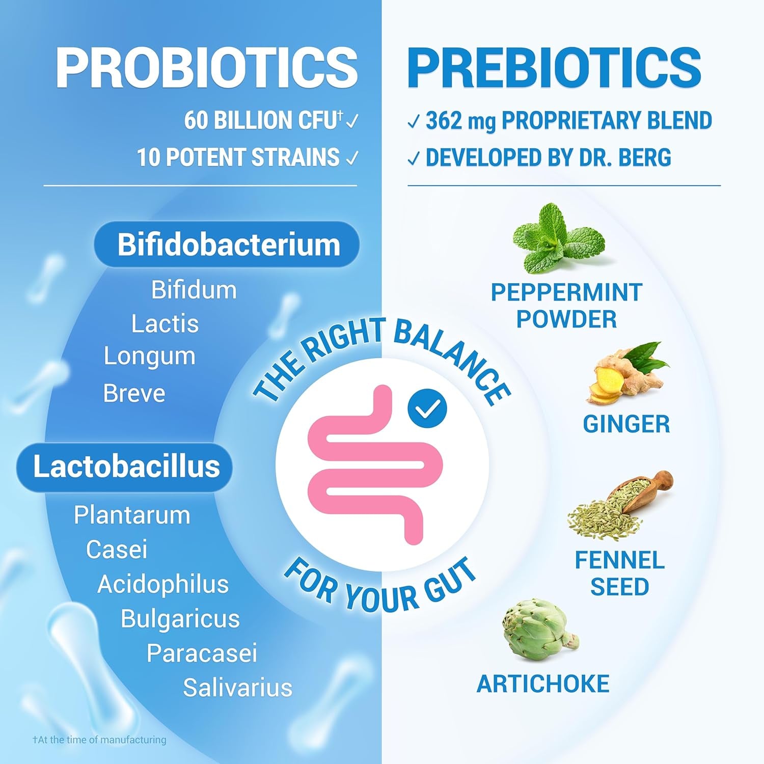 Visual representation of the powerful connection between probiotics and overall gut health.